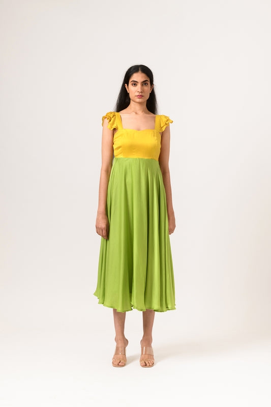 Yellow-Green Umbrella Dress