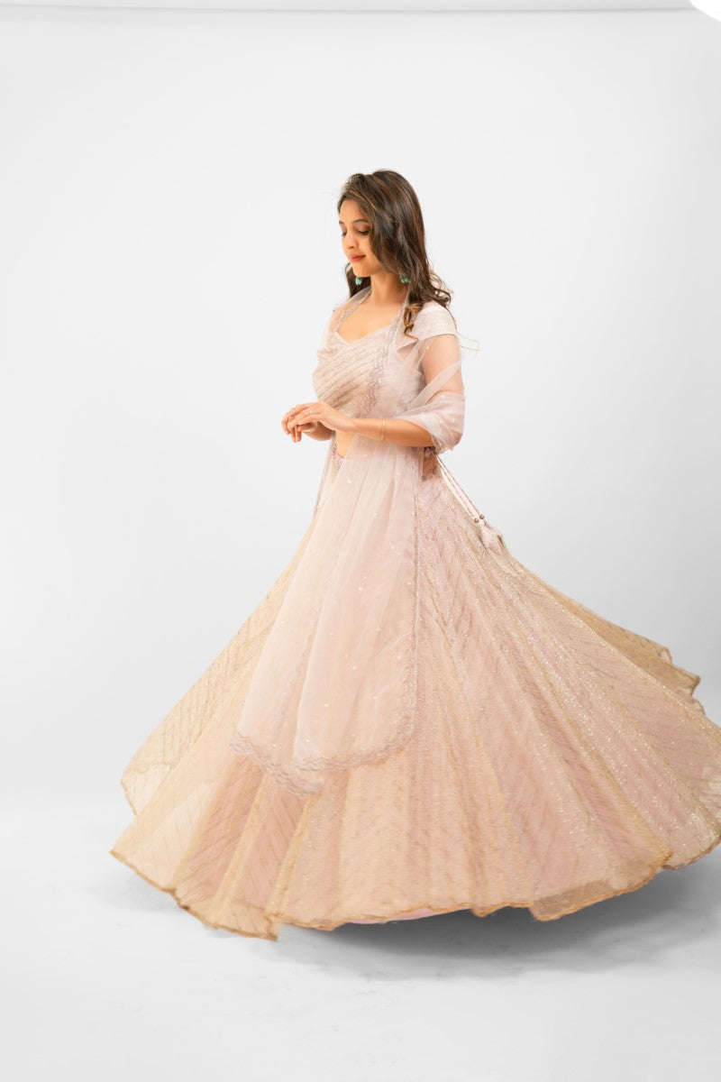 Pastel pink embroidered lehenga set