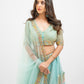 Sky blue Multi embroidered lehenga set