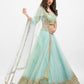 Sky blue Multi embroidered lehenga set