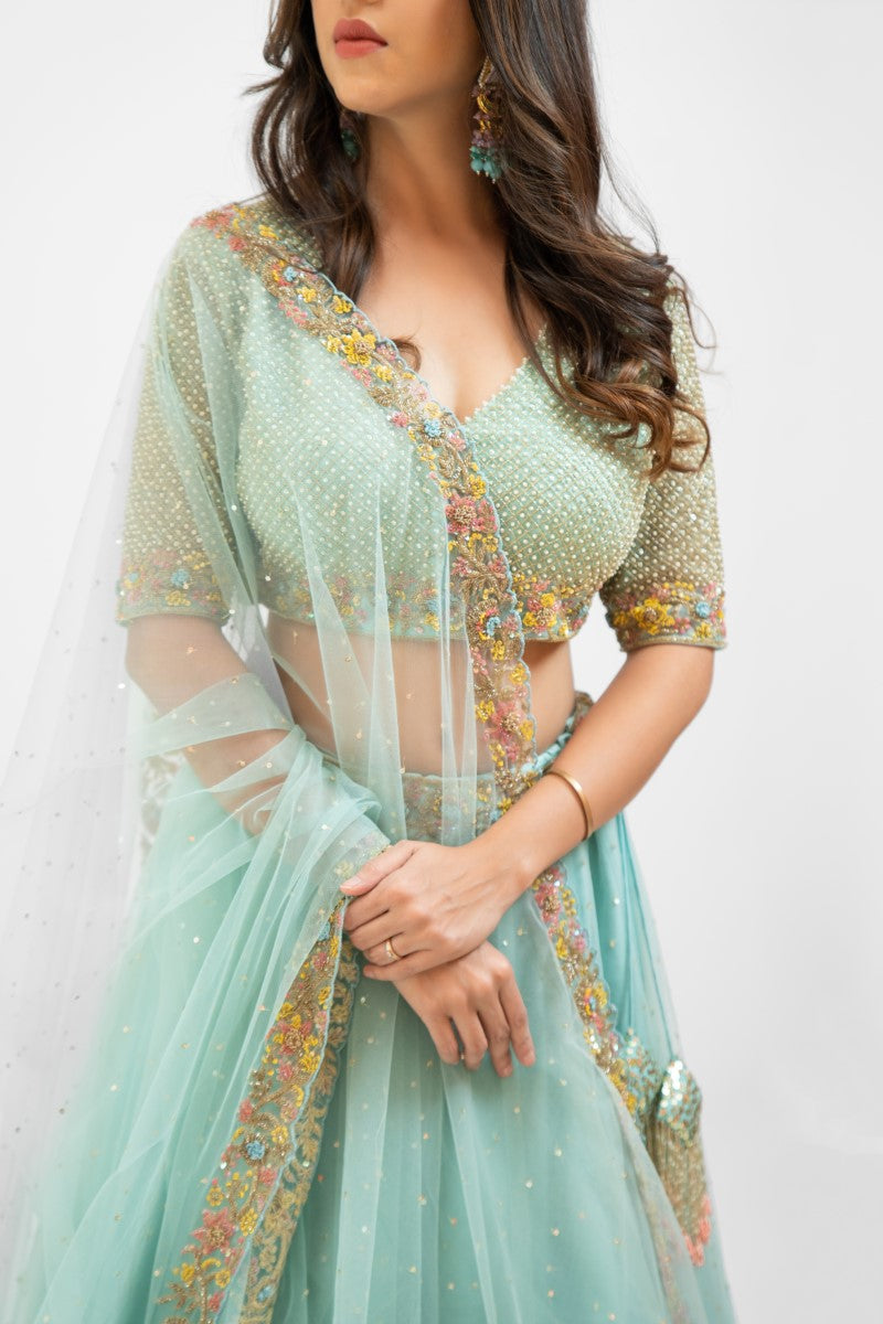 Sky blue Multi embroidered lehenga set