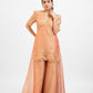 Peachy pink tissue organza embro gharara set