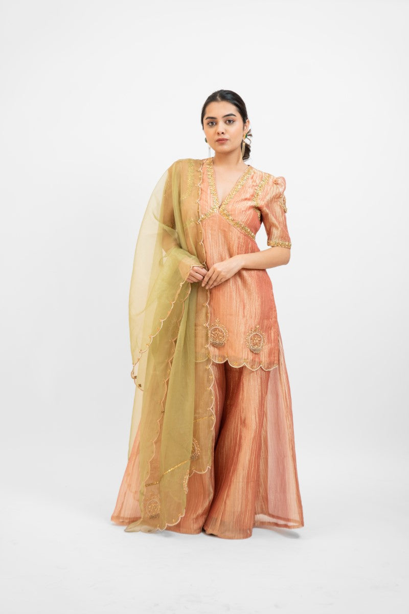 Peachy pink tissue organza embro gharara set